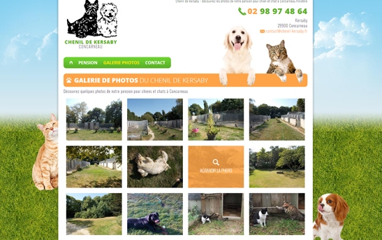 site internet avec images de la pension chien et chat