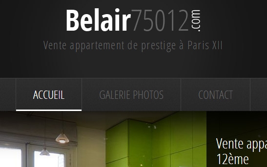 zoom logo site immobilier