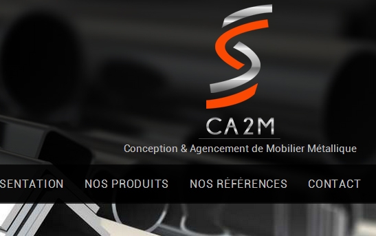 zoom logo ca2m