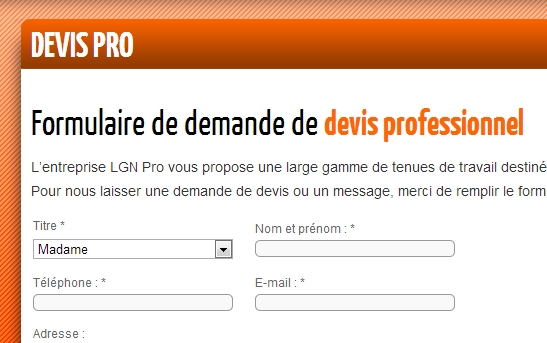 formulaire devis pro en ligne sur le site