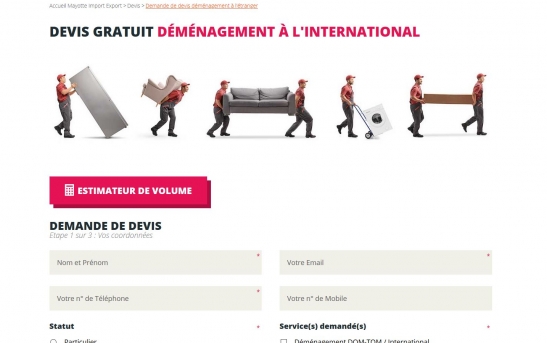 creation site web demenagement